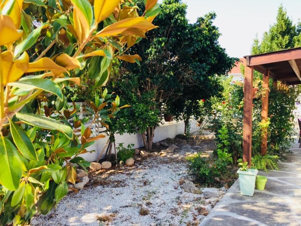 Artist Cottage In Dromolaxia Larnaca Eksteriør billede